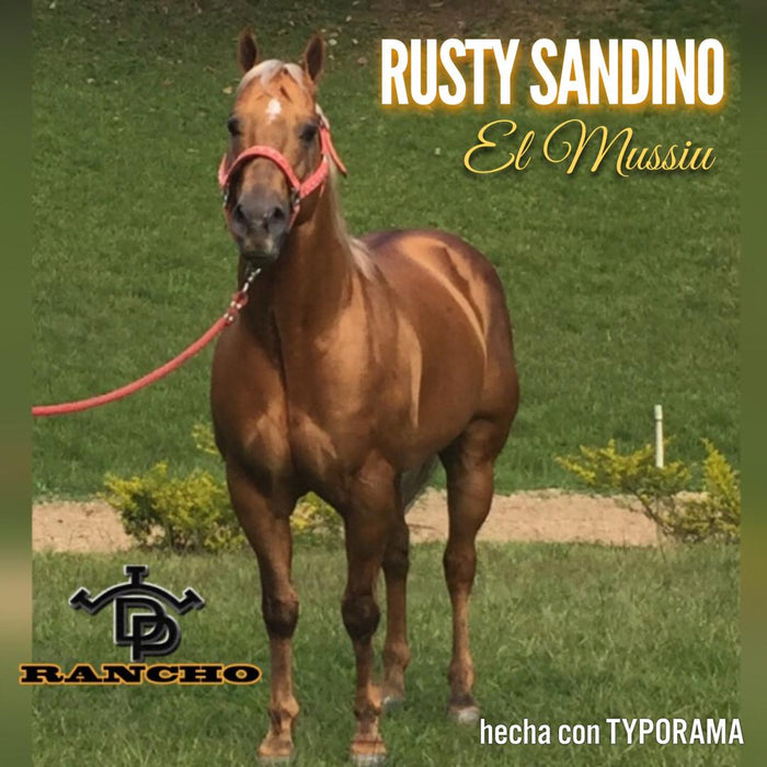 Rusti Sandino (Venezuela)