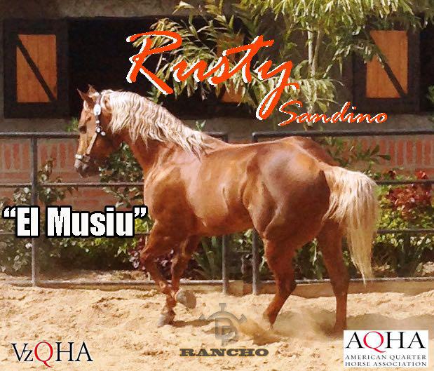 Rusti Sandino (Venezuela)