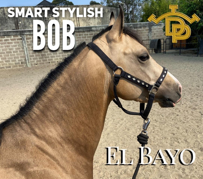 Smart Stylish Bob (Venezuela)